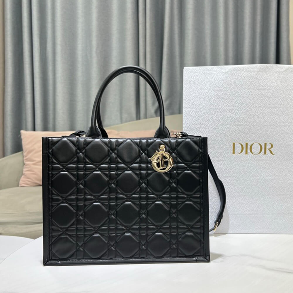 Dior Medium Dior Book Tote