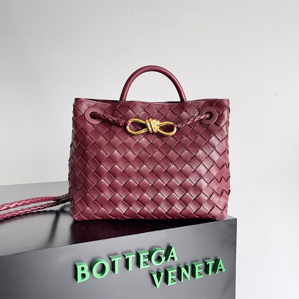 Bottega Veneta Small Andiamo