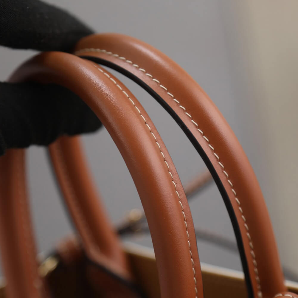 CELINE Mini Vertical Cabas IN Triomphe Canvas with Celine print